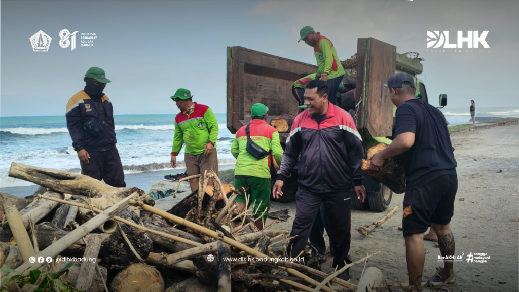 DLHK Kabupaten Badung Laksanakan Pembersihan dan Pengangkutan Sampah Laut di Pantai  Batu Mejan, Canggu
