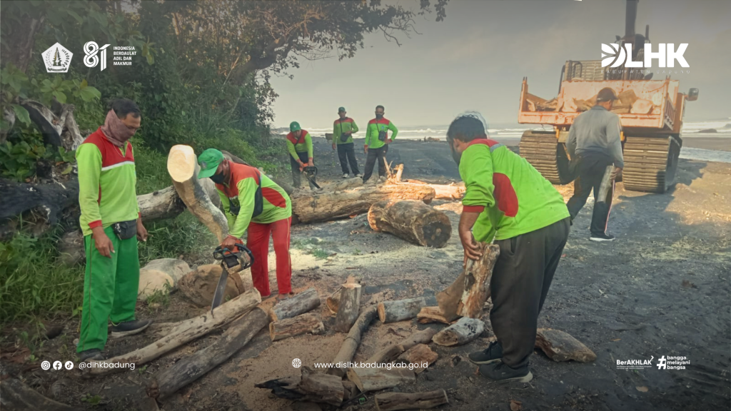 DLHK Badung Laksanakan Pembersihan dan Pemotongan Kayu Terdampar di Loloan pantai Nyanyi, desa Cemagi