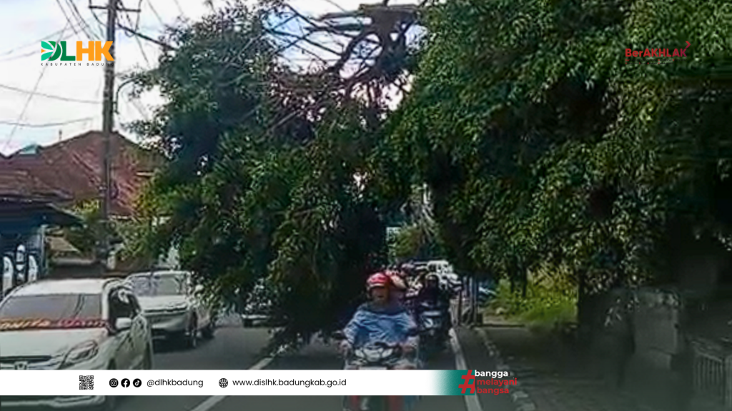 DLHK Badung Atensi Pohon Patah di Wilayah Pura Desa Beringkit, Mengwitani