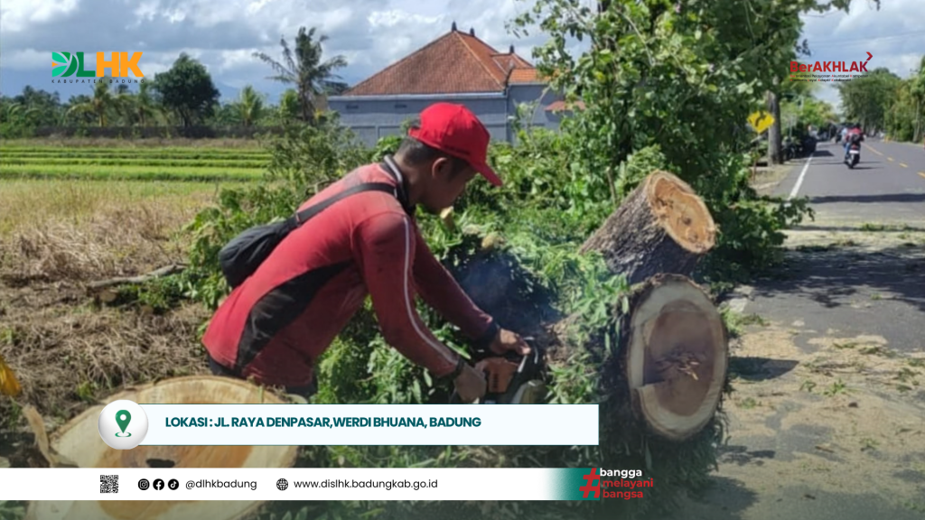 DLHK Badung Gerak Cepat Atensi Pohon Tumbang Akibat Angin Kencang di Sejumlah Titik