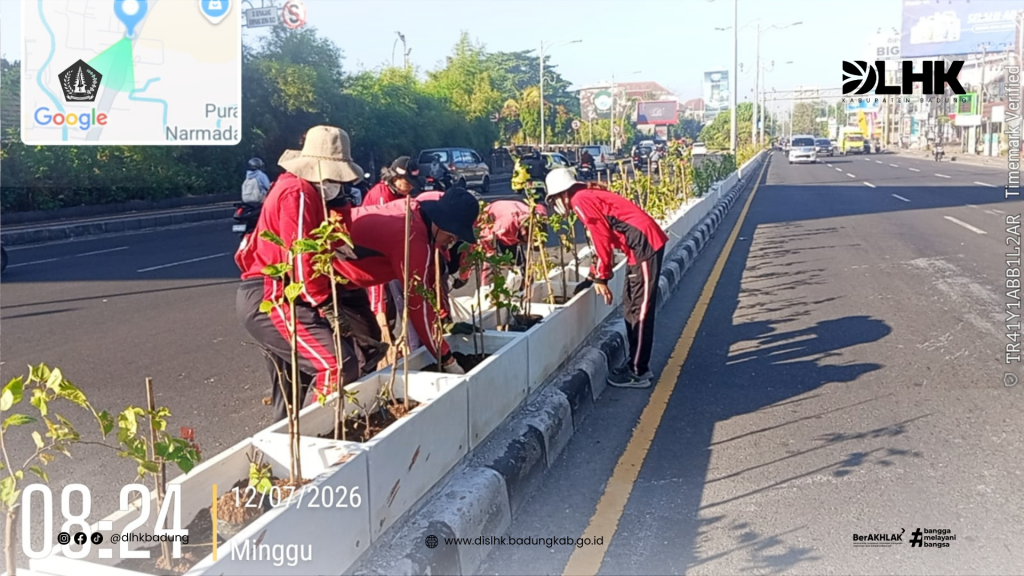 Tim RTH DLHK Badung Percantik Kawasan Simpang Dewa Ruci dengan Penanaman Bougenville