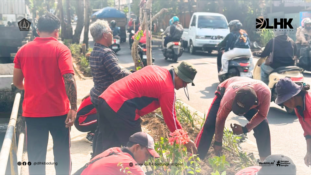 DLHK Kabupaten Badung Laksanakan Penataan Taman Median di Jalur Tapal Batas Darmasaba – Jalan Ahmad Yani Utara