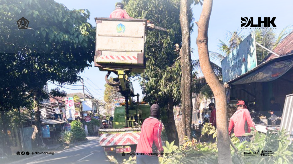 Tim Pemangkasan DLHK Badung Laksanakan Perompesan Pohon di Jalur Jalan Raya Darmasaba–Tapal Batas Kota Denpasar