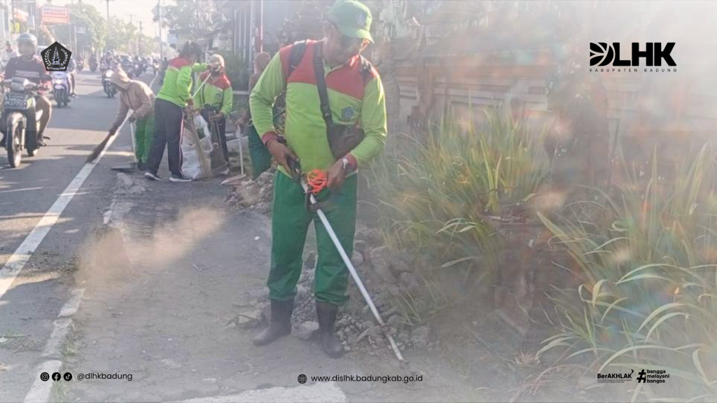 DLHK Badung Laksanakan Kerja Bakti Pembersihan Rumput Liar dan Sampah di Sepanjang Jalan Raya Mambal, Abiansemal