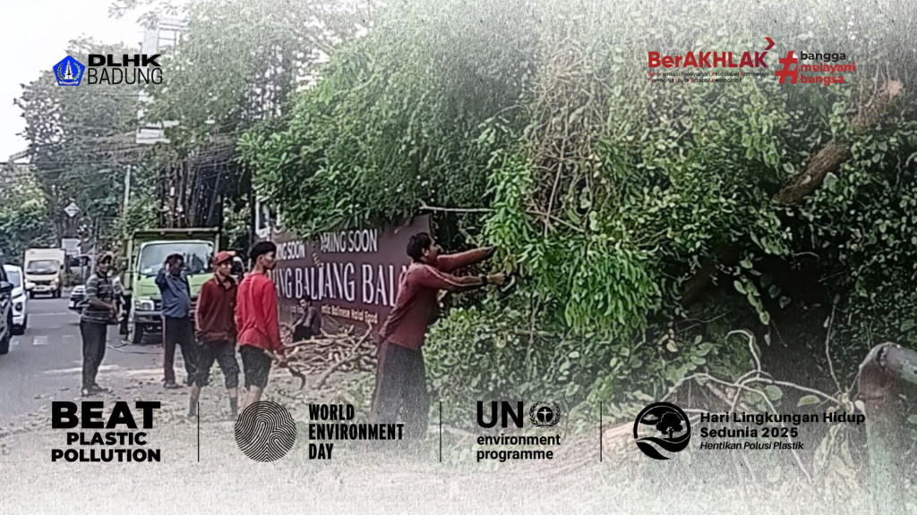 Tenaga Pertamanan Dlhk Badung Melakukan Pemangkasan Pohon Tinggi Yang Mengganggu Dan Membahayakan Penguna Jalan Di Jalan Raya Kuta