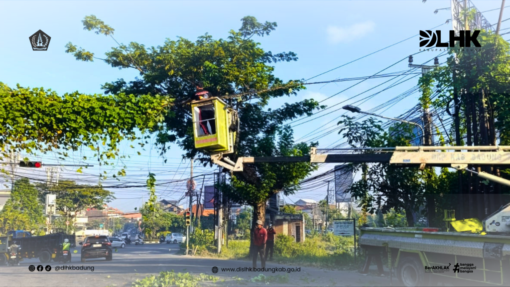 Tim Perindang DLHK Kabupaten Badung Laksanakan Pembersihan Tanaman Liar yang Menjalar Pada Kabel Utilitas Disimpang Nakula - Sunset Road