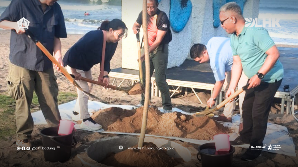 DLHK Badung Dukung Penghijauan Kawasan Pesisir melalui Penanaman Pohon Kelapa di Sekitar LV8 Resort Hotel