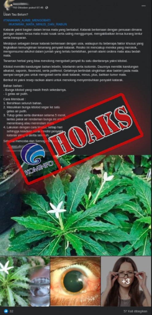 [HOAKS] Bunga Kitolod Dapat Sembuhkan Penyakit Katarak