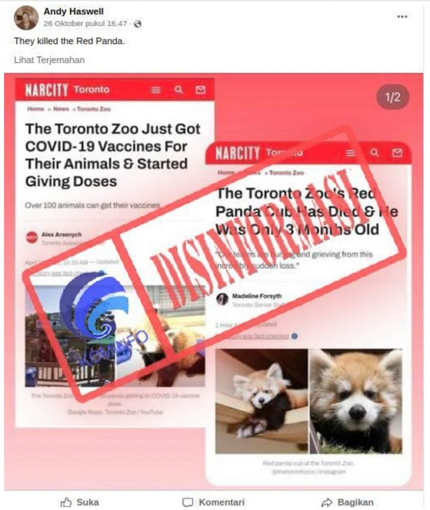 [DISINFORMASI] Panda Merah di Kebun Binatang Toronto Mati Setelah Diberi Vaksin Covid-19