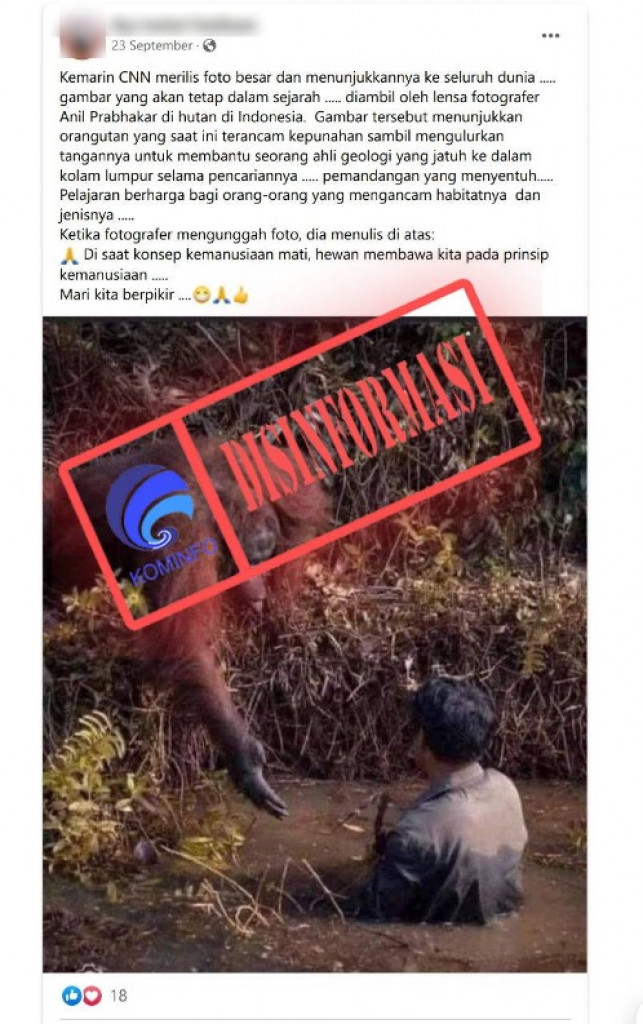 [DISINFORMASI] Foto Orang Utan Mengulurkan Tangan Membantu Seorang Ahli Geologi yang Jatuh ke dalam Kolam Lumpur