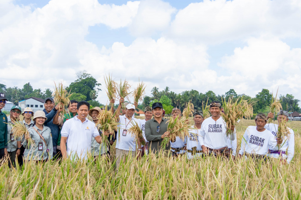 Pemkab Badung Cek Harga dan Ketersediaan Pangan Jelang Galungan