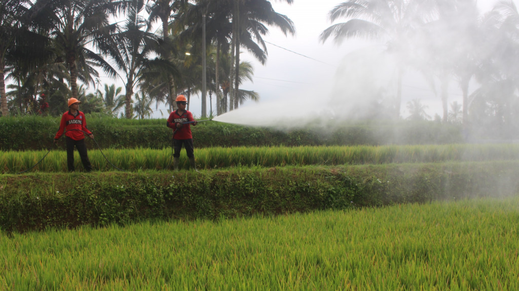 6 Subak di Petang Dilanda Kekeringan, Pemkab Badung Salurkan Air Irigasi Darurat dengan 3 Truk Tangki dan Pompa