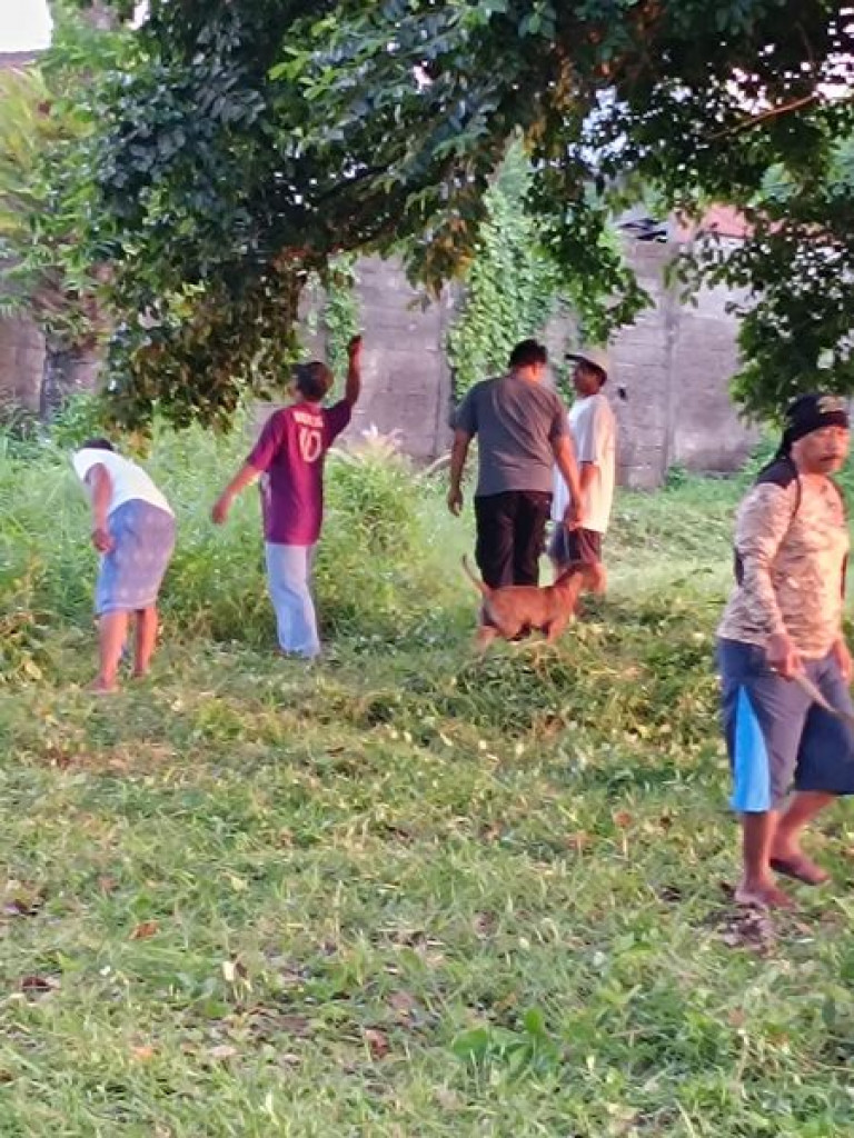 Warga Banjar Batuculung Kerobokan Kaja Gelar Gotong Royong di Setra Patakan dan Jalan Rurung Gede