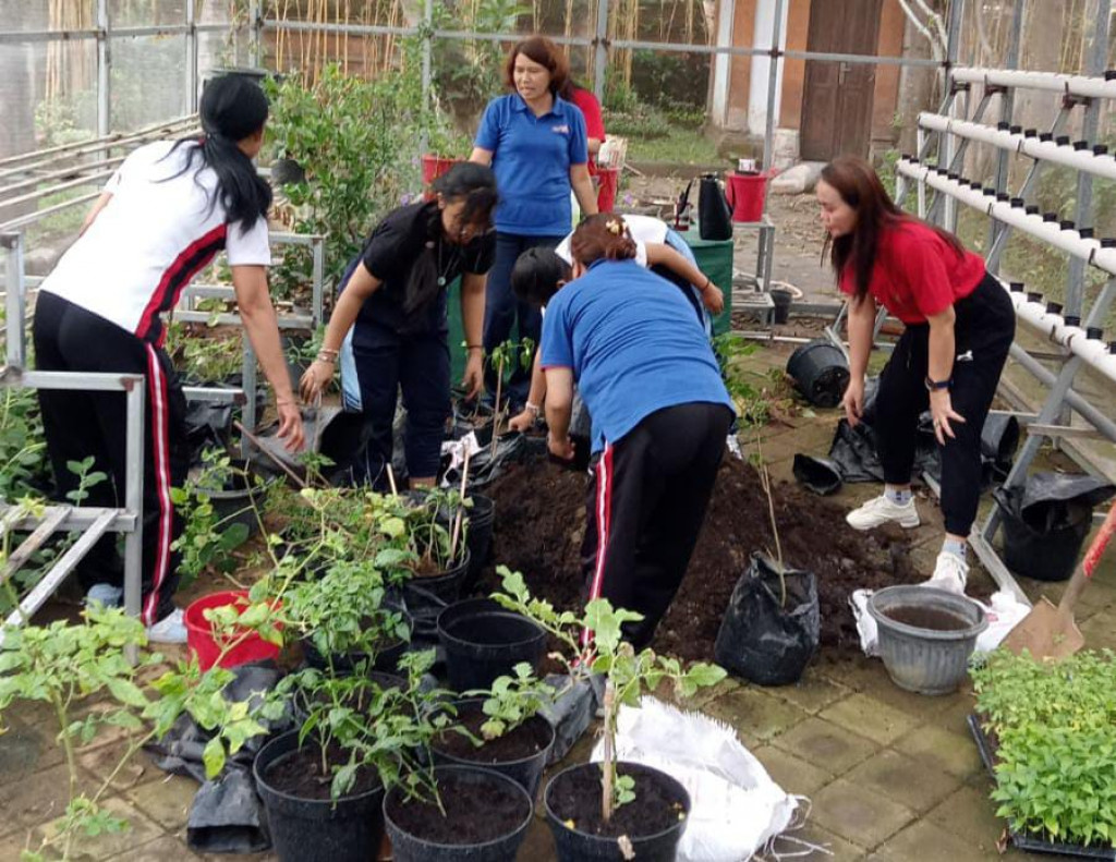 Inovasi SEKOLAH SAYUR Kecamatan Kuta Selatan hari ini melakukan penanaman dan penataan ulang pola tanam bekerja sama dengan UPT Pertanian Kecamatan.