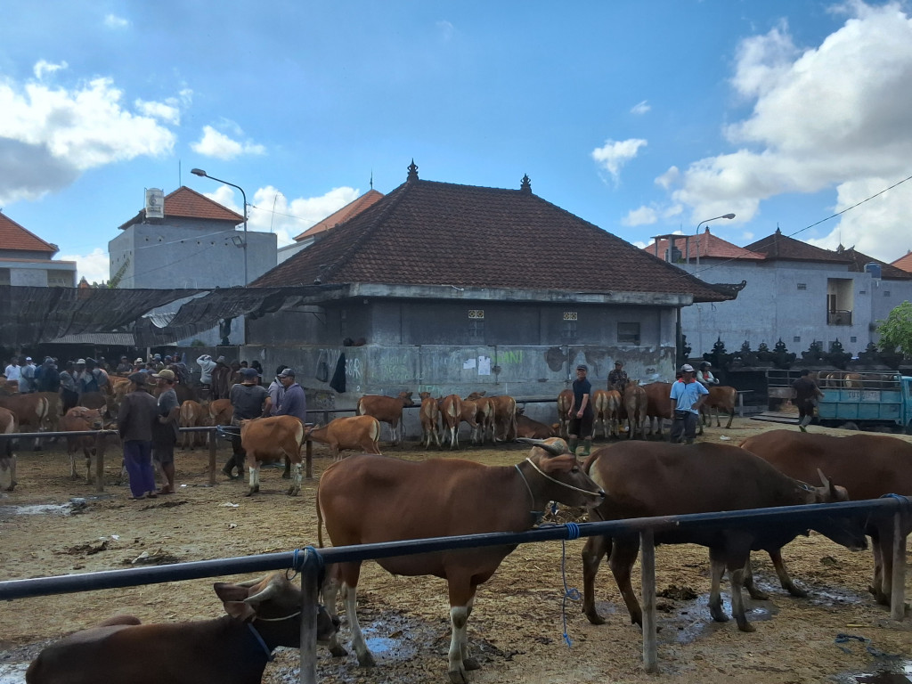 Pasar Hewan Beringkit