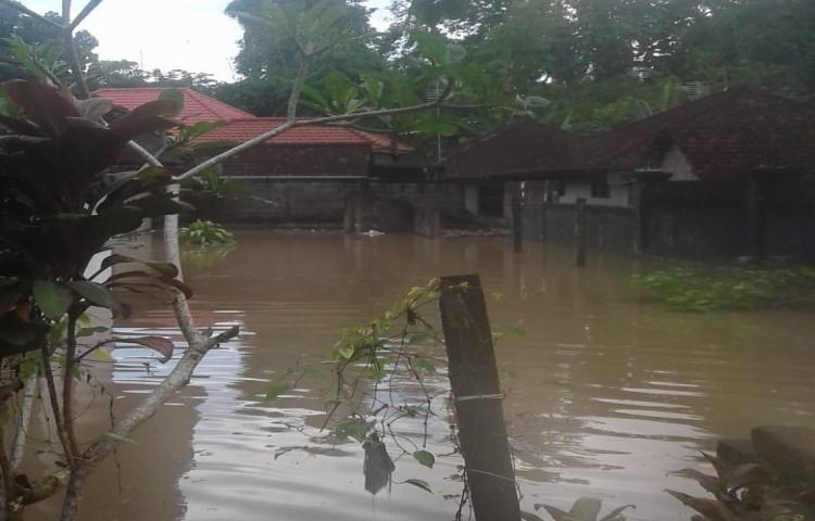 Atensi Air Tergenang di halaman rumah warga, di Banjar Karang Enjung, Desa Sembung, Kecamatan Mengwi