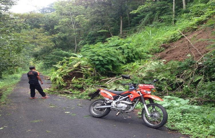 Atensi Tanah Longsor di Jalan Munduk Damping menuju Pura Pucak Tedung, Banjar Munduk Damping, Desa Petang, Kecamatan Petang