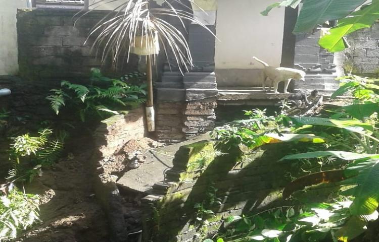 Atensi Tanah Longsor yang mengakibatkan Akses Jalan menuju rumah warga terputus di Banjar Pengadangan, Desa Mengwitani, Kecamatan Mengwi.