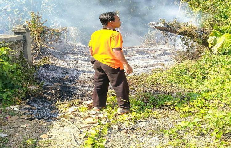 Atensi kebakaran Alang-alang dan Pohon bunut di lahan kosong