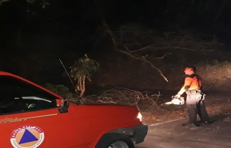 Cuaca Ekstrim ( angin kencang ) mengakibatkan Dahan Pohon beringin patah di Jaba Pura Bencuing, Depan Lapangan Petang