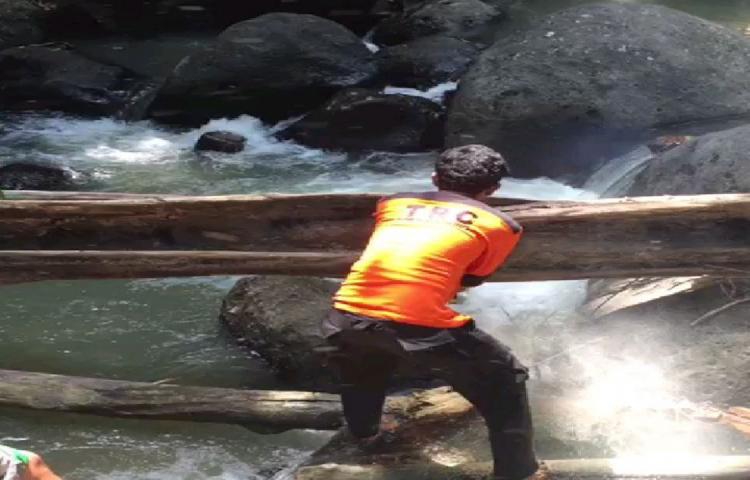 Cuaca Ekstrim ( angin kencang ) mengakibatkan Pohon tumbang di Banjar Celuk, Desa / Kel. Kapal Kecamatan , Mengwi ,Kabupaten Badung