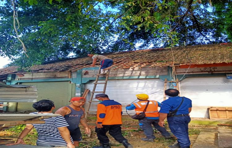 Dahan Pohon patah di Banjar Pegongan, Desa Taman, Kecamatan Abiansemal Tanggal 26 Maret 2020