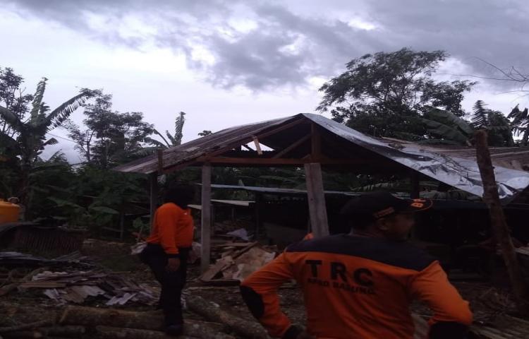 Kajian terhadap Pohon tumbang menimpa Bangunan Dapur darurat di Banjar Sekarmukti Kaja, Desa Belok Sidan, Kecamatan Petang akibat cuaca ekstrem (angin kencang dan hujan deras)