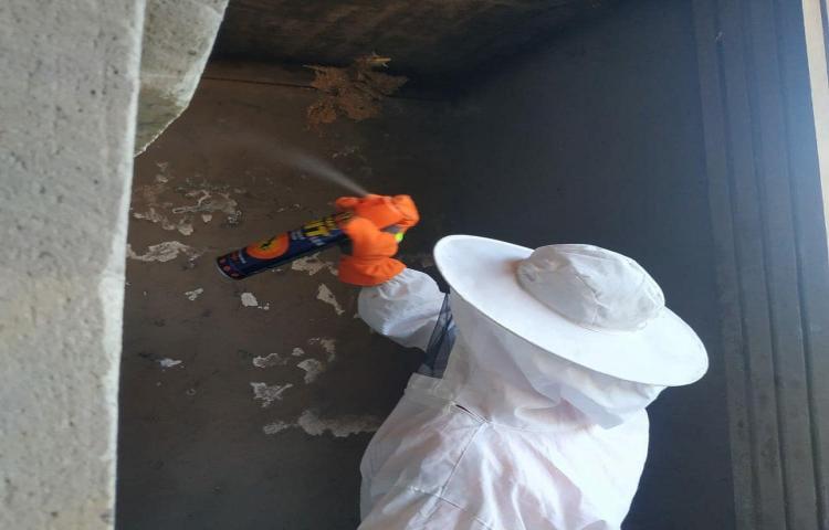 Pembersihan Sarang tawon di Puri Dewa Bharata, Jalan Gigit Sari, Uluwatu 1