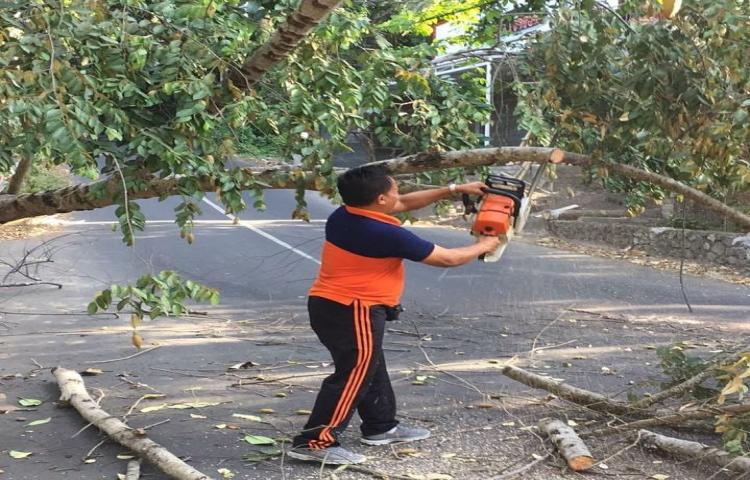 Penanganan Cuaca ekstrim ( angin kencang ) Mengakibatkan Pohon tumbang, Jalan Perumahan Villa Ayung Banjar. : Pane Desa / Kel. : Sibanggede Kecamatan. : Abiansemal
