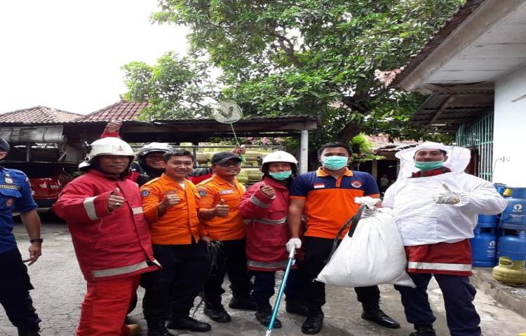 Penanganan Laporan masyarakat tentang Sarang Tawon di Jalan Pemelisan Agung Kelurahan Jimbaran, Kecamatan Kuta Selatan
