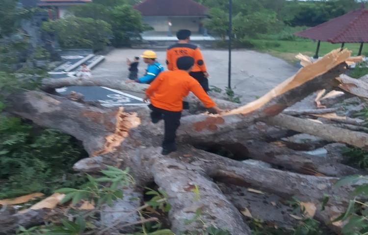 Penanganan Pohon Tumbang di Jalan Raya By Pass Ngurah Rai, Banjar Bualu, Kelurahan Benoa, Kecamatan Kuta Selatan