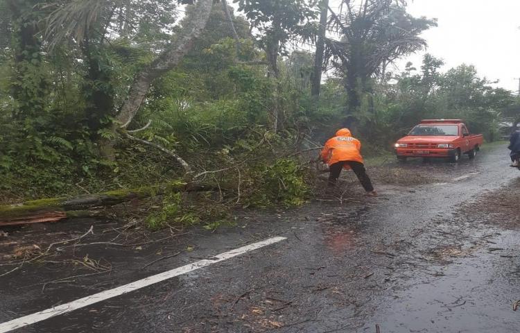 Penanganan Pohon Tumbang di sandakan, sulangai, petang.