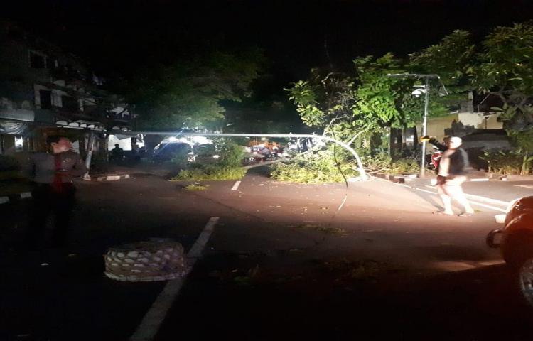Penanganan Pohon Tumbang yang disebabkan oleh Cuaca Ekstrim di Jalan Raya Kuta ( Selatan Pasar Kuta ) Kelurahan Kuta, Kecamatan Kuta