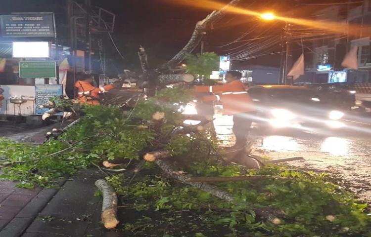 Penanganan Pohon tumbang di Jalan Dharmawangsa puja Mandala Nusa Dua, Kecamatan Kuta Selatan