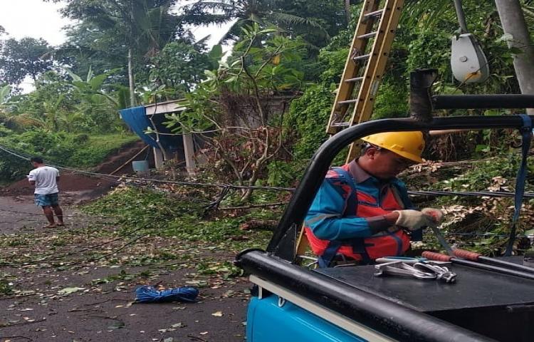 Penanganan Pohon tumbang menutupi badan jalan di Banjar Tengah Sobangan, Kecamatan Mengwi, akibat Cuaca Ekstrim (angin kencang dan hujan deras)