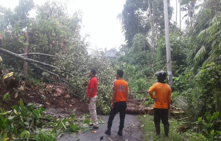 Penanganan longsor dan pohon tumbang akibat hujan deras di desa sading.