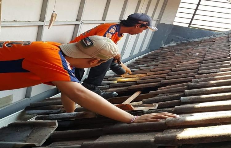 Penanganan ular masuk ke rumah warga di Tibubeneng