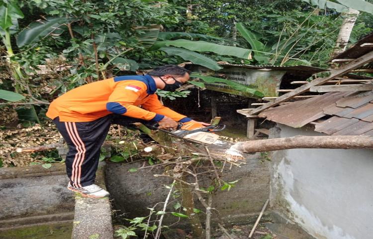 Pohon Tumbang di Banjar Tabah, Desa Taman, Kecamatan Abiansemal Tanggal 15 Agustus 2020