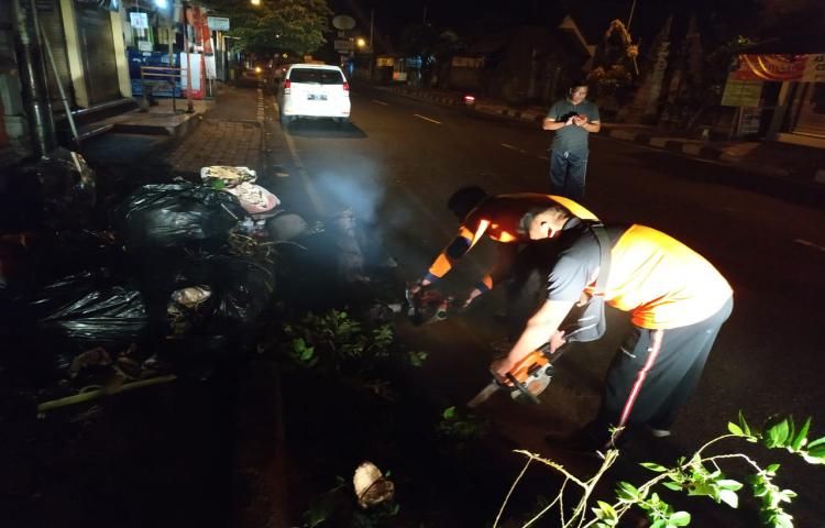 Pohon Tumbang di Jalan Denpasar Singaraja, Banjar Dajan Peken, Desa Mengwitani, Kecamatan Mengwi Tanggal 18 Januari 2020