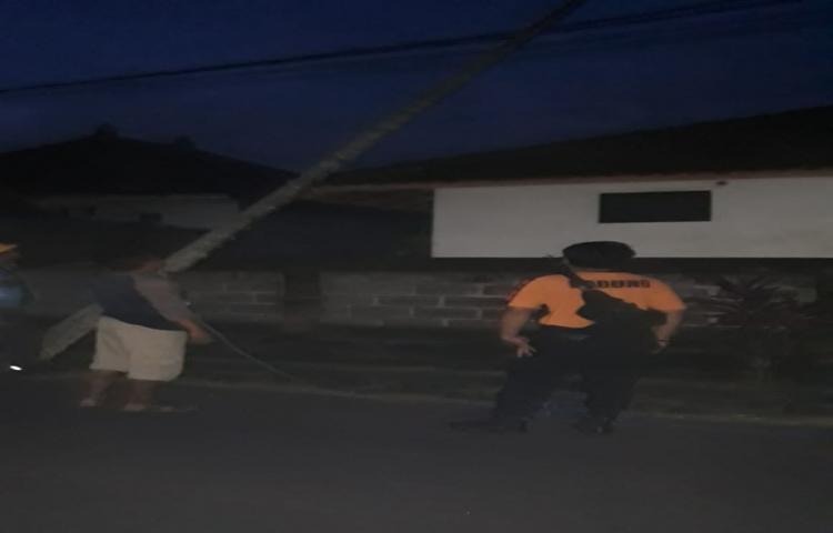 Pohon Tumbang di Jalan Raya Gerih, Banjar Purwakerta, Desa Gerih, Kecamatan Abiansemal Tanggal 10 Maret 2020