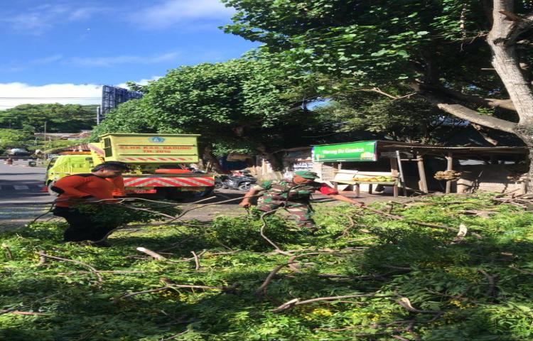 Pohon Tumbang di Jalan Raya Jimbaran, Kelurahan Jimbaran, Kecamatan Kuta Selatan Tanggal 16 Maret 2020