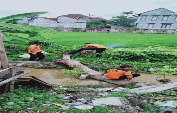Pohon Tumbang di Perum Dalung Permai, Kelurahan Kerobokan Kaja, Kecamatan Kuta Utara Tanggal 07 Januari 2020
