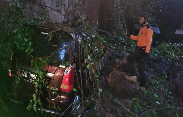 Pohon tumbang disertai tanah longsor di Jalan Raya Sempidi Sading, Banjar Tegehe, Desa Sempidi Kecamatan Mengwi Tanggal 01 Juni 2020