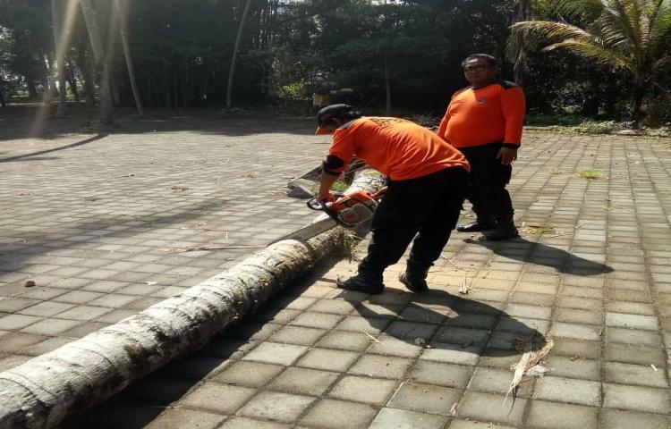 Pohon tumbang yang berdampak tertutup nya akses jalan menuju setra gede Banjar. : Banjaran Desa / Kel. : Abiansemal