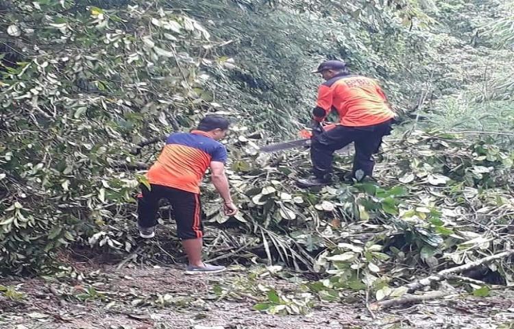 Tanah Longsor di Jalan Auman Menuju Tiyingan, Banjar Tiyingan, Desa Pelaga, Kecamatan Petang.