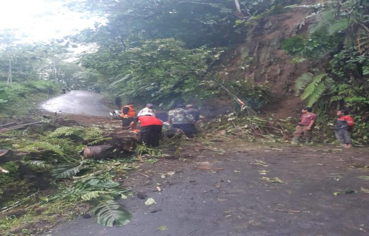 Tanah Longsor di Jalan Tiyingan menuju Pelaga, Banjar Tiyingan, Desa Pelaga, Kecamatan Petang Tanggal 07 Maret 2020