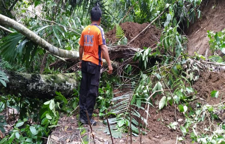 Tanah Longsor di sebelah selatan pura rambut siwi, Desa Getasan, Kecamatan Petang Tanggal 31 Januari 2020