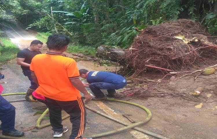 Tanah Longsor disertai Pohon Tumbang di Banjar Samuan Kangin, Desa Carangsari, Kecamatan Petang.