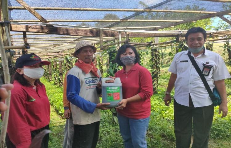 Kabid Bersama Tim Perkebunan Dampingi UPTD Lab. Perlindungan Tanaman Perkebunan Provinsi Bali Serahkan Stimulus Pestisida Hayati Kepada Petani Vanili di Tiyingan, Petang