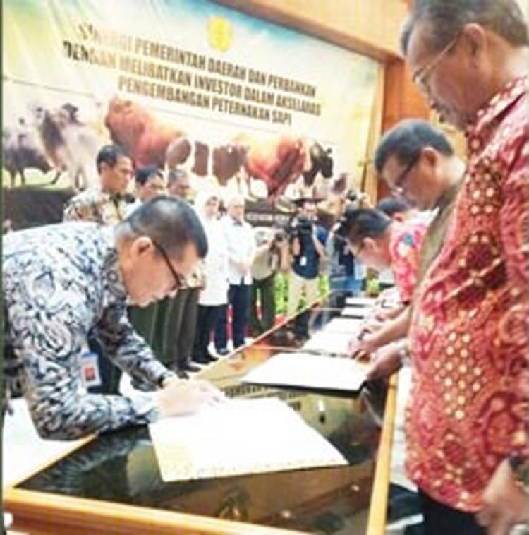 Pemda dan Perbankan Agar Bersinergi Dukung Peningkatan Populasi Sapi